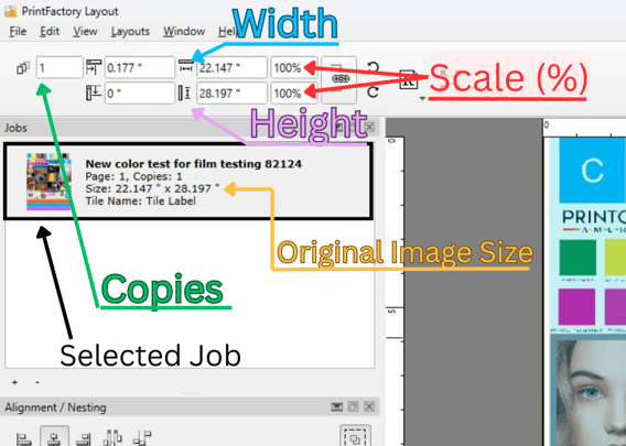 layout copies and dimensions v5